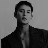 Mingyu (SEVENTEEN)